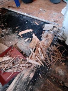 Sinistre plancher bois Schiltigheim